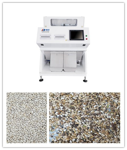 RGB CCD Agriculture White Beans Color Sorter Machine 2 Chutes